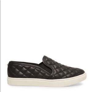 Steve Madden ECENTRCQ Black slip on shoes